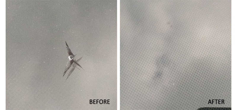 Windshield Crip Covered